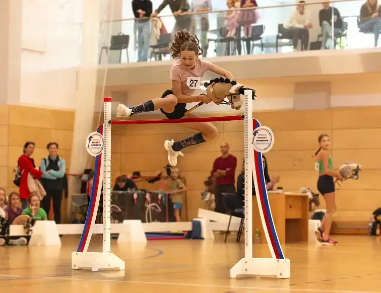 Disciplines en Hobby Horsing.