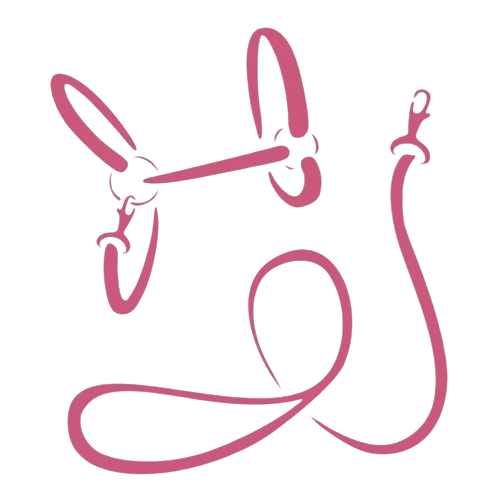 Illustration au trait simple d’un licol de cheval et d’une longe en rose, sur fond clair. Le licol et la longe sont disposés librement pour montrer clairement leurs formes.