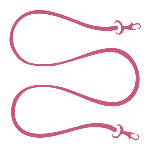 Deux laisses pour chien roses sont disposées en motif ondulé et lâche sur un fond clair, avec des fermoirs en métal visibles à chaque extrémité.