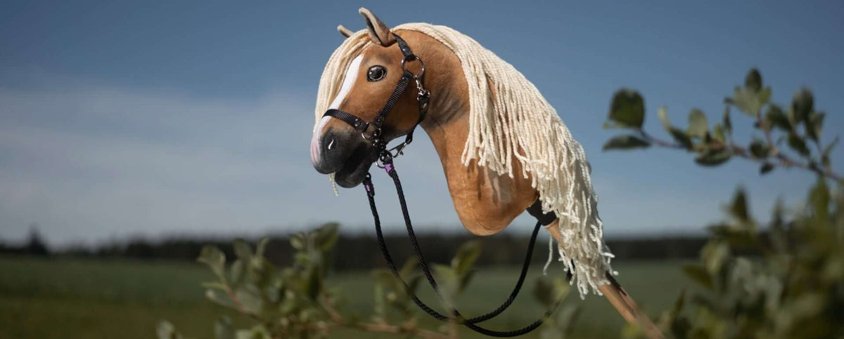 Rênes Hobby Horse