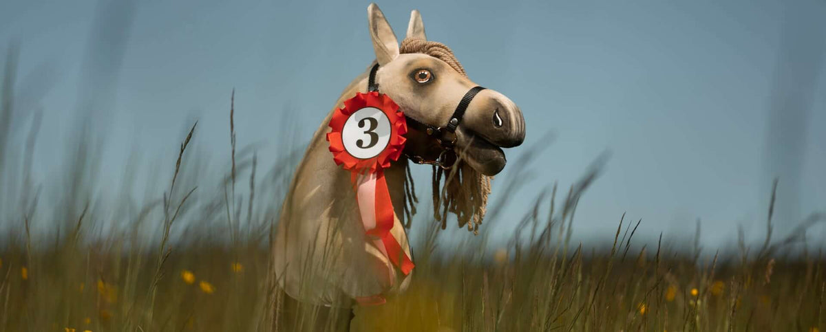 Cocardes Hobby Horse