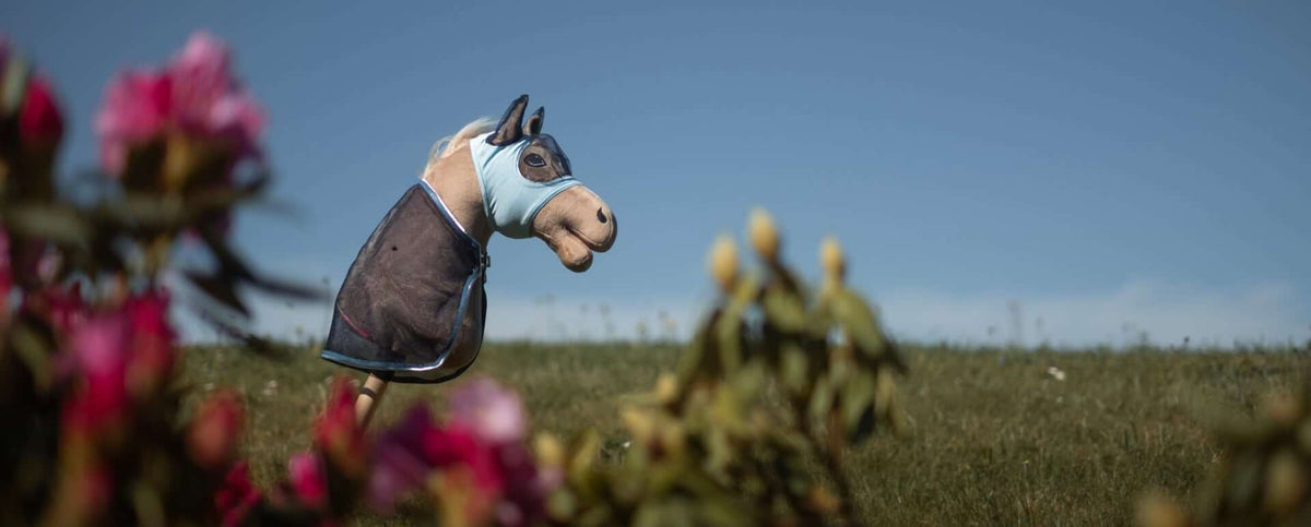 Masques Hobby Horse