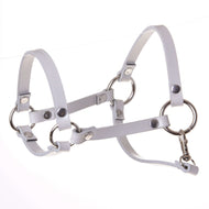 Licol - similicuir gris clair (taille S) de Hobby Horse LarDen, avec anneaux métalliques et rivets pour un look affirmé, parfait comme accessoire pour Hobby Horse. Présenté sur fond blanc uni.