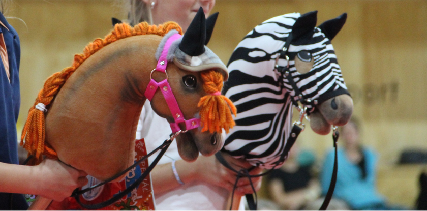 Hobby Horse Mane – 6 Braiding Styles to Try