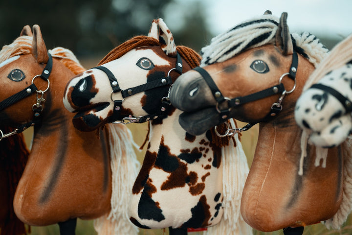 US Hobby Horse Championships 2026 : le plus grand événement Hobby Horse d'Amérique approche