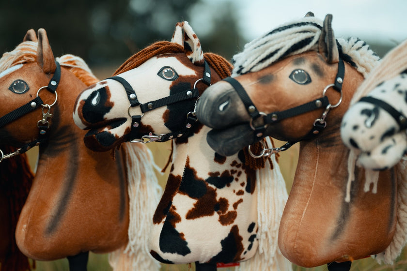 US Hobby Horse Championships 2026 : le plus grand événement Hobby Horse d'Amérique approche