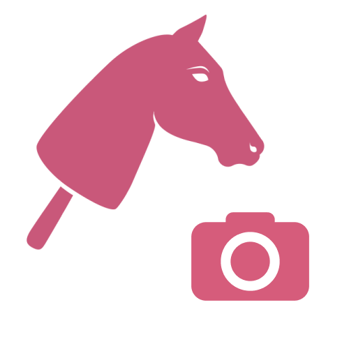 Illustration rose d’une tête de hobby horse sur un bâton au-dessus d’une icône d’appareil photo rose, sur fond gris clair.
