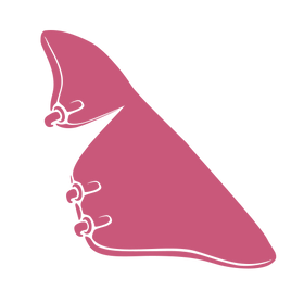 Couvertures avec protège-cou