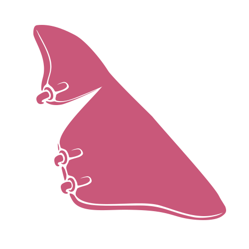 Illustration minimaliste d'une main rose formant la lettre B de la langue des signes américaine, sur un fond gris clair.