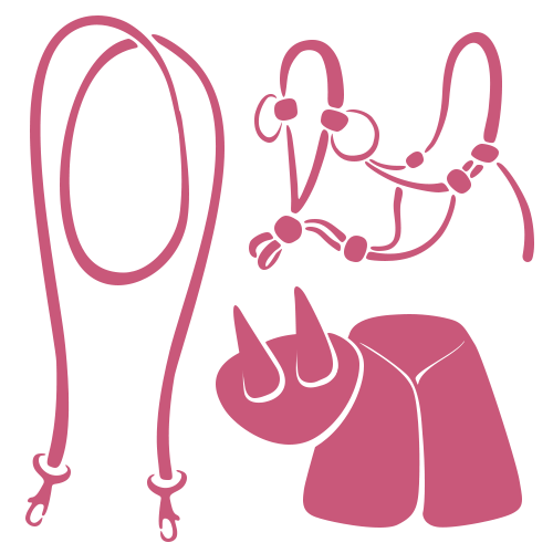 Illustration rose d'accessoires de costume : un lasso, une bride de cheval, une paire de cornes de taureau et une cape, le tout sur un fond clair.