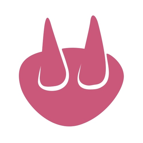 Graphisme rose simple d’une forme ovale avec deux pointes en forme de cône vers le haut, ressemblant à des cornes abstraites ou à un nez d’animal sur fond blanc.