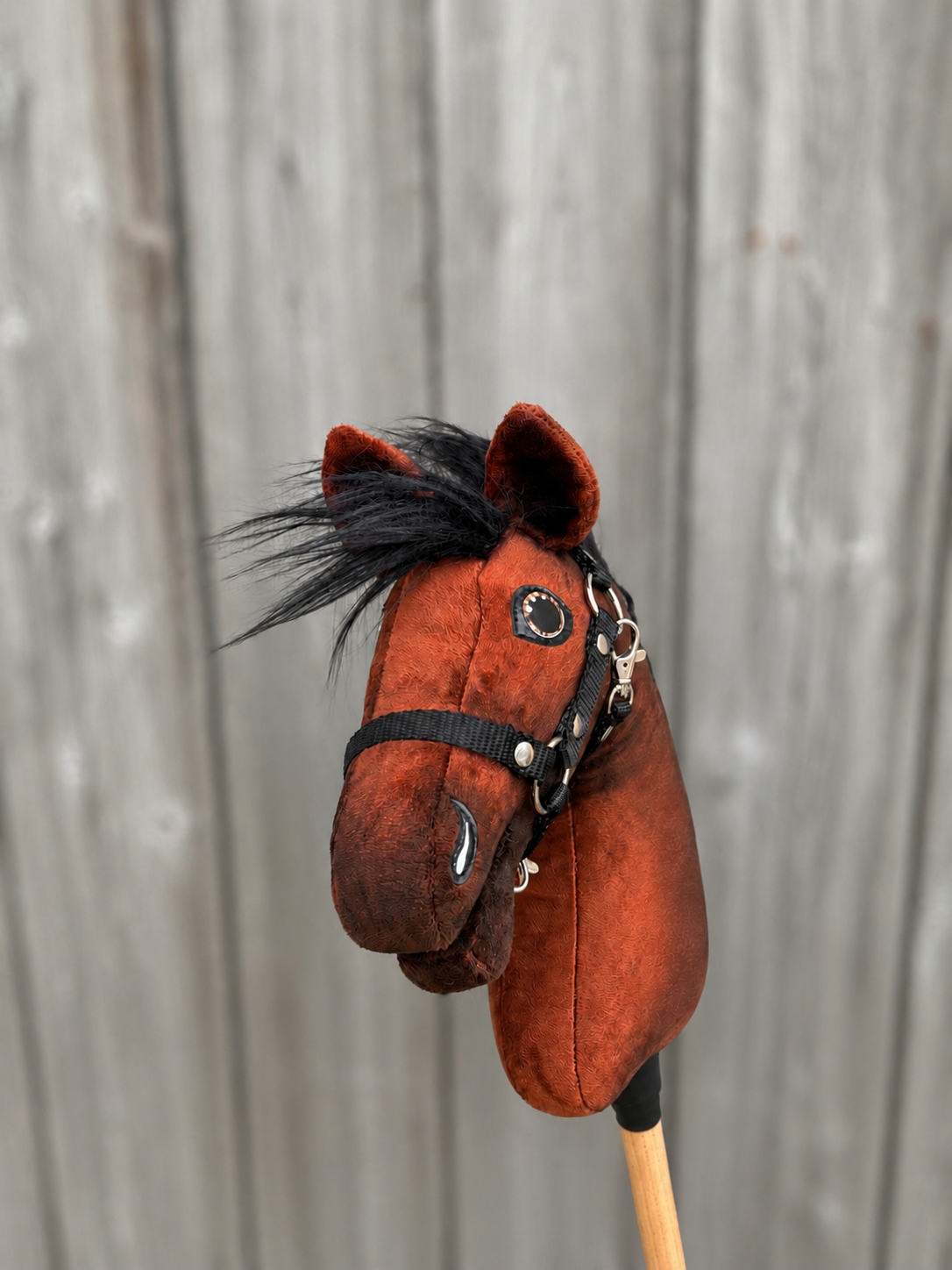 Hobby Horse Benny avec licol noir - taille XS