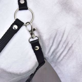 Hobby Horse Elektra avec licol noir