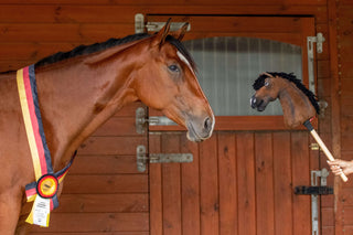 Hobby Horse personnalisé d'après votre photo
