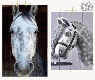 Hobby Horse personnalisé d'après votre photo