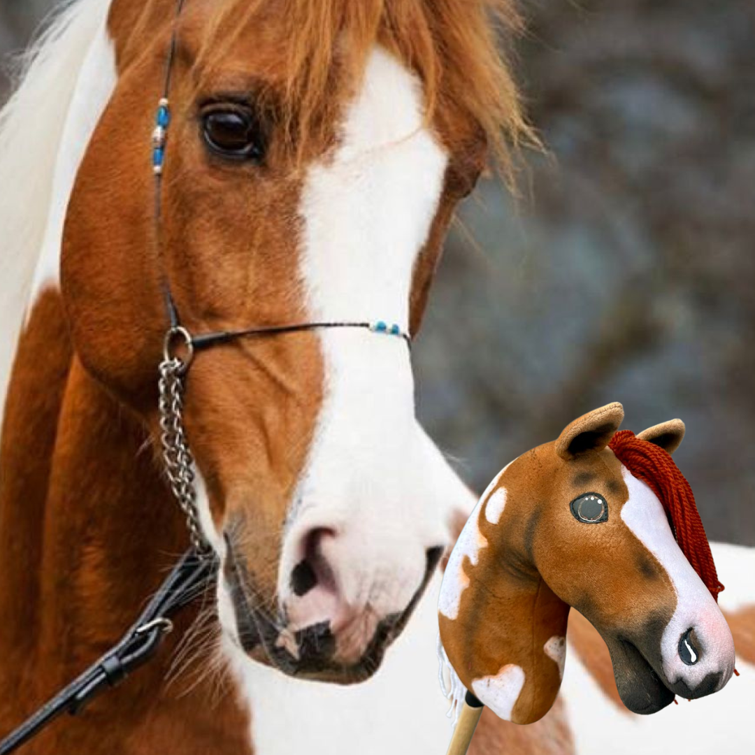 Hobby Horse Pie Mustang avec licol, longe et bonnet Noir Hobby Horse Pie Mustang avec licol, longe et bonnet Noir