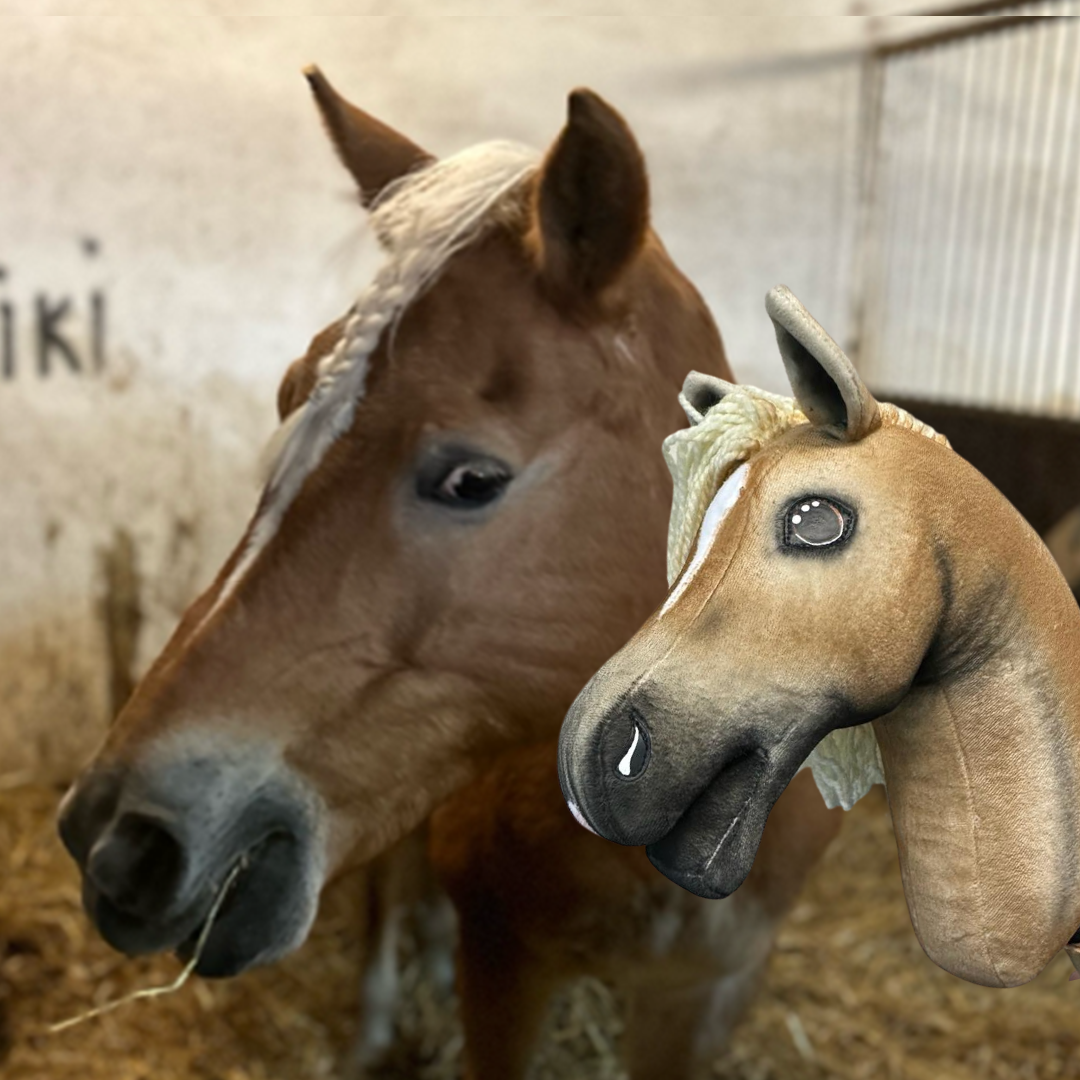 Hobby Horse based on your photo