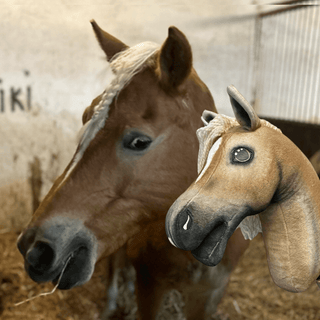Hobby Horse personnalisé d'après votre photo
