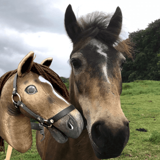Hobby Horse personnalisé d'après votre photo