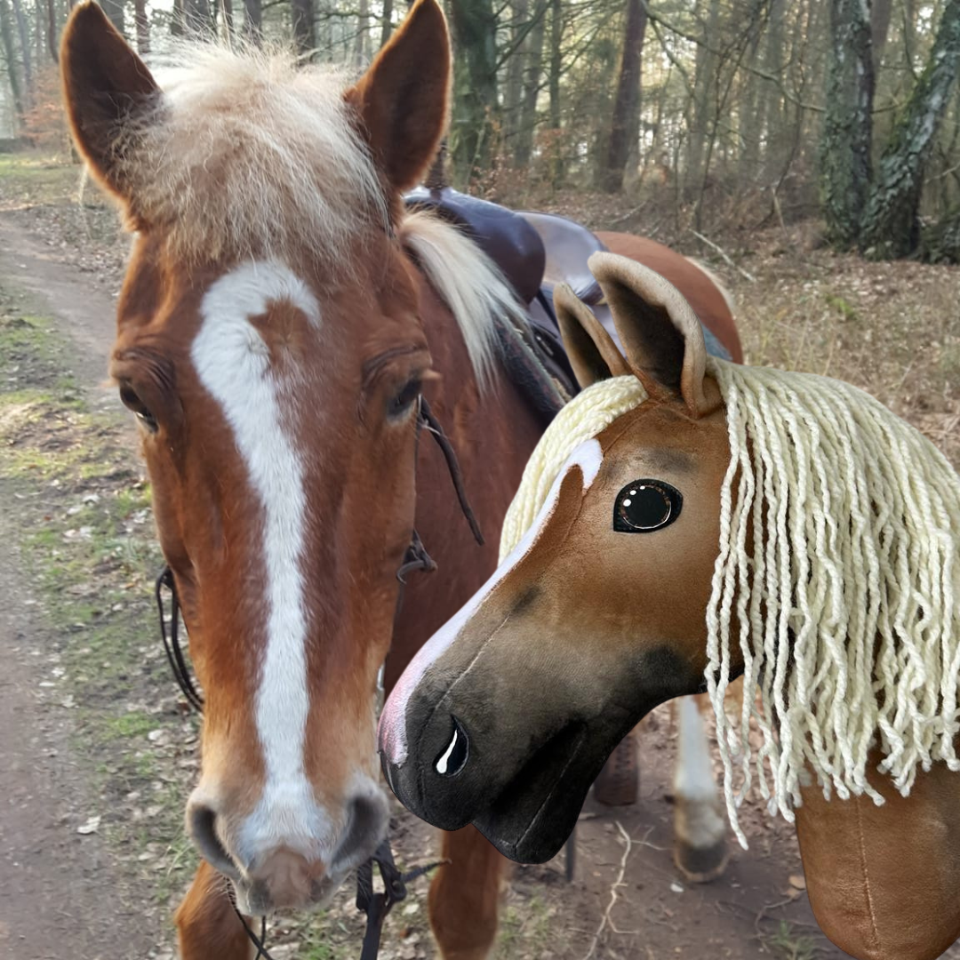 Hobby Horse based on your photo