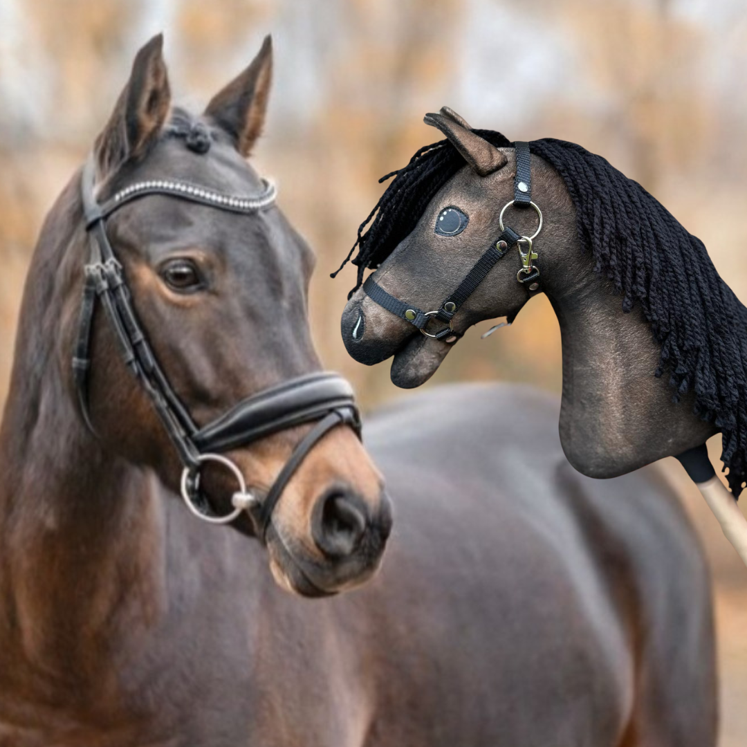 Hobby Horse based on your photo