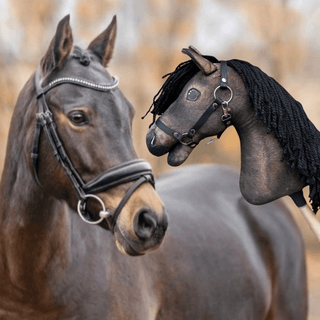 Hobby Horse personnalisé d'après votre photo