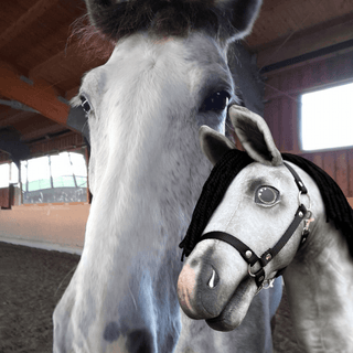 Hobby Horse personnalisé d'après votre photo
