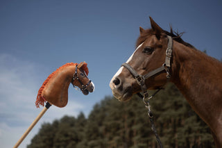 Hobby Horse personnalisé d'après votre photo