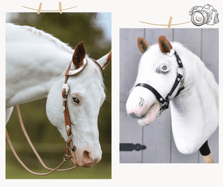 Hobby Horse personnalisé d'après votre photo