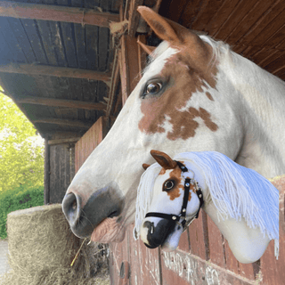 Hobby Horse personnalisé d'après votre photo