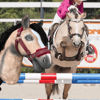 Hobby Horse personnalisé d'après votre photo