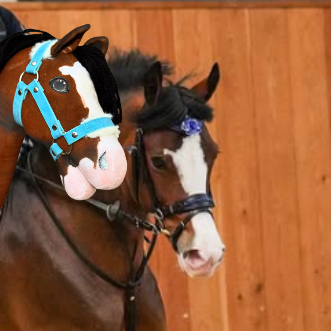 Hobby Horse based on your photo