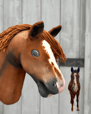 Hobby Horse personnalisé d'après votre photo
