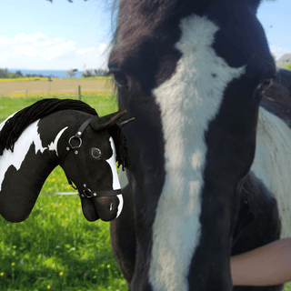 Hobby Horse personnalisé d'après votre photo