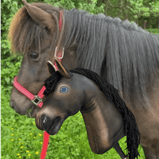 Hobby Horse personnalisé d'après votre photo