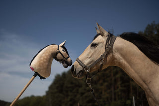 Hobby Horse personnalisé d'après votre photo