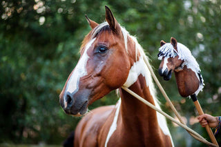 Hobby Horse personnalisé d'après votre photo