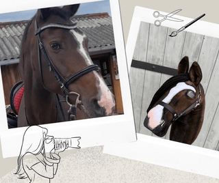 Hobby Horse personnalisé d'après votre photo