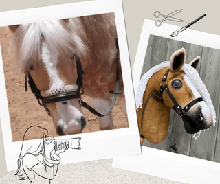Hobby Horse personnalisé d'après votre photo