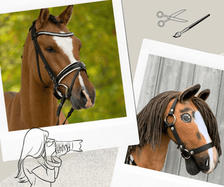 Hobby Horse personnalisé d'après votre photo