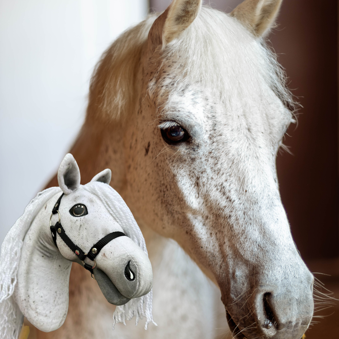 Hobby Horse based on your photo