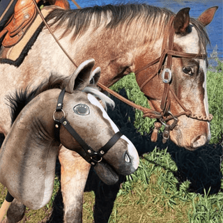 Hobby Horse personnalisé d'après votre photo