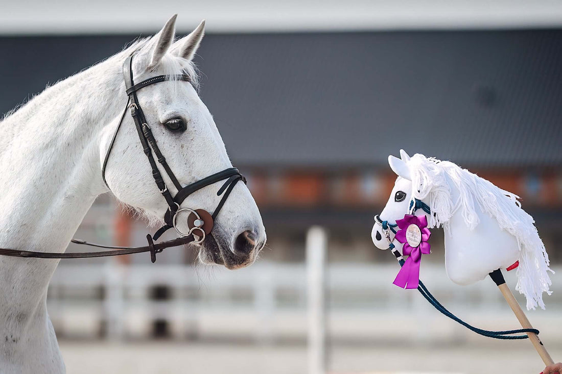 Hobby Horse personnalisé d'après votre photo