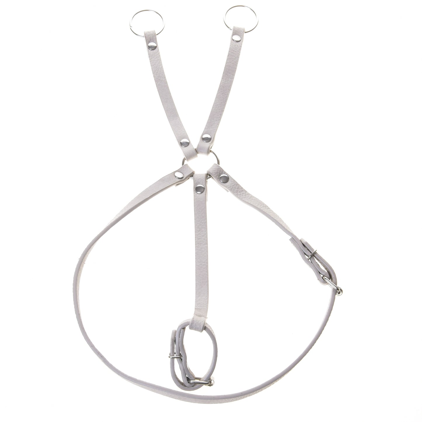 Ensemble similicuir Aqua - bride, rênes et martingale