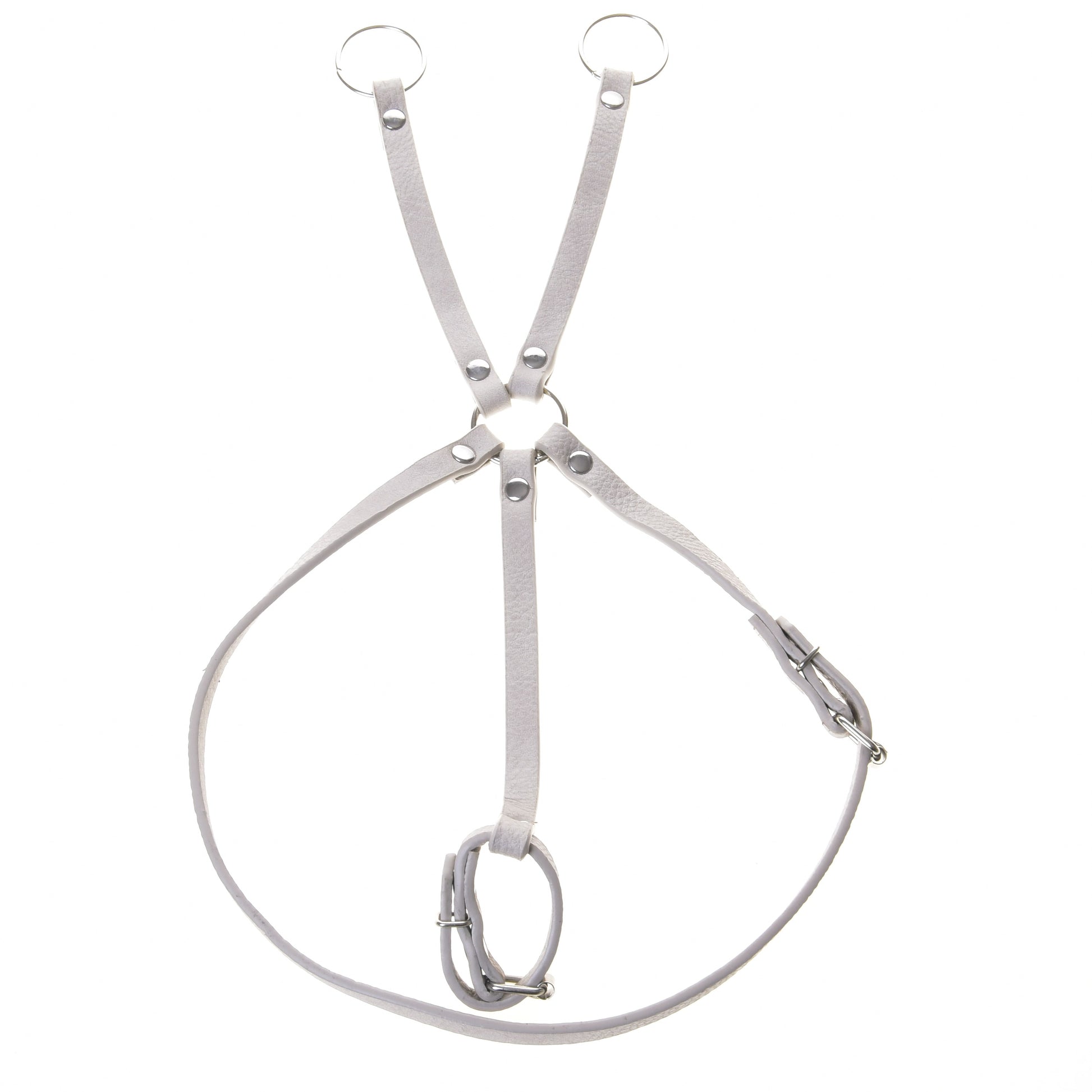 Ensemble similicuir Aqua - bride, rênes et martingale