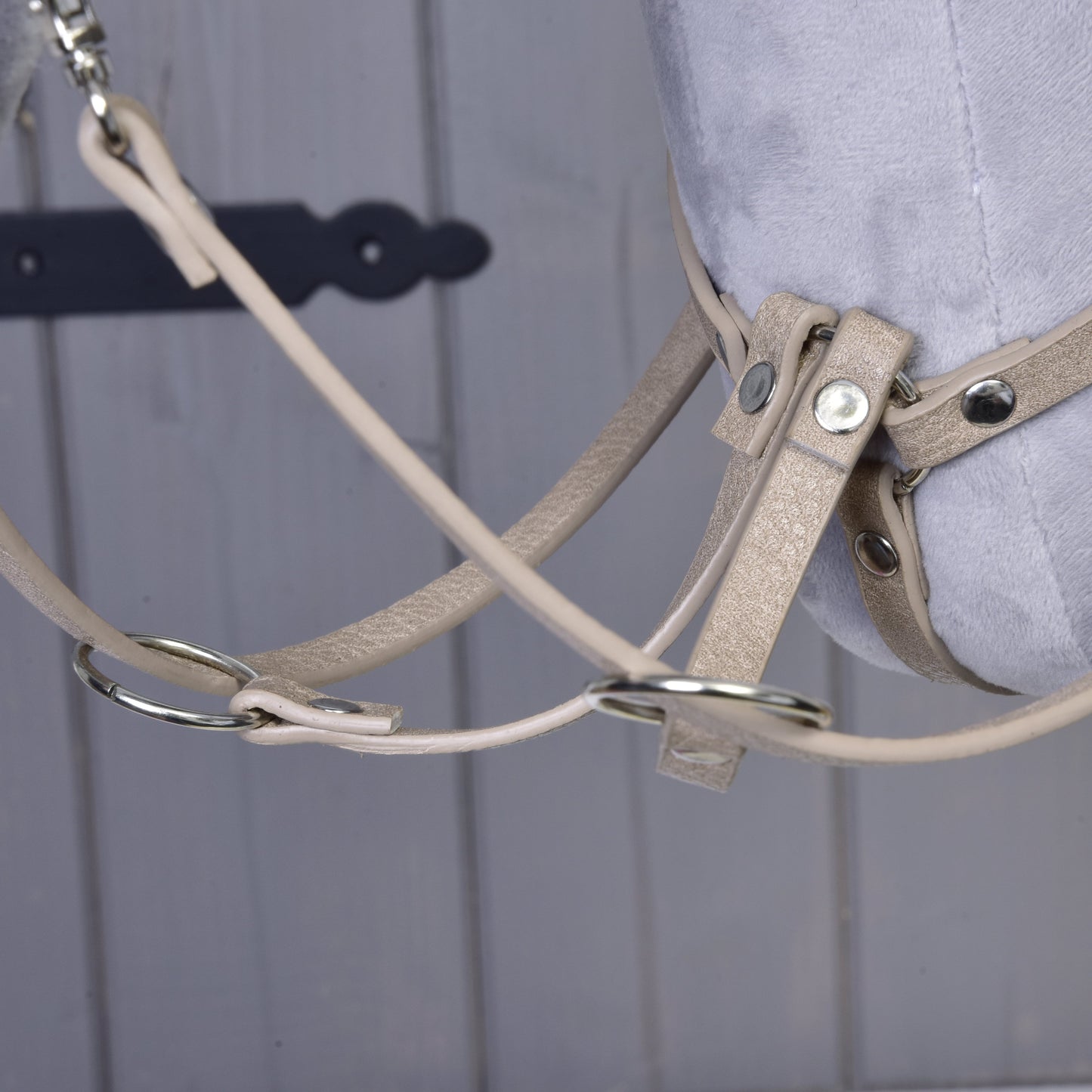 Ensemble similicuir Bordeaux - bride, rênes et martingale