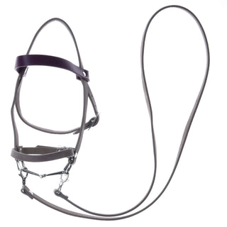 Ensemble similicuir Bordeaux - bride, rênes et martingale