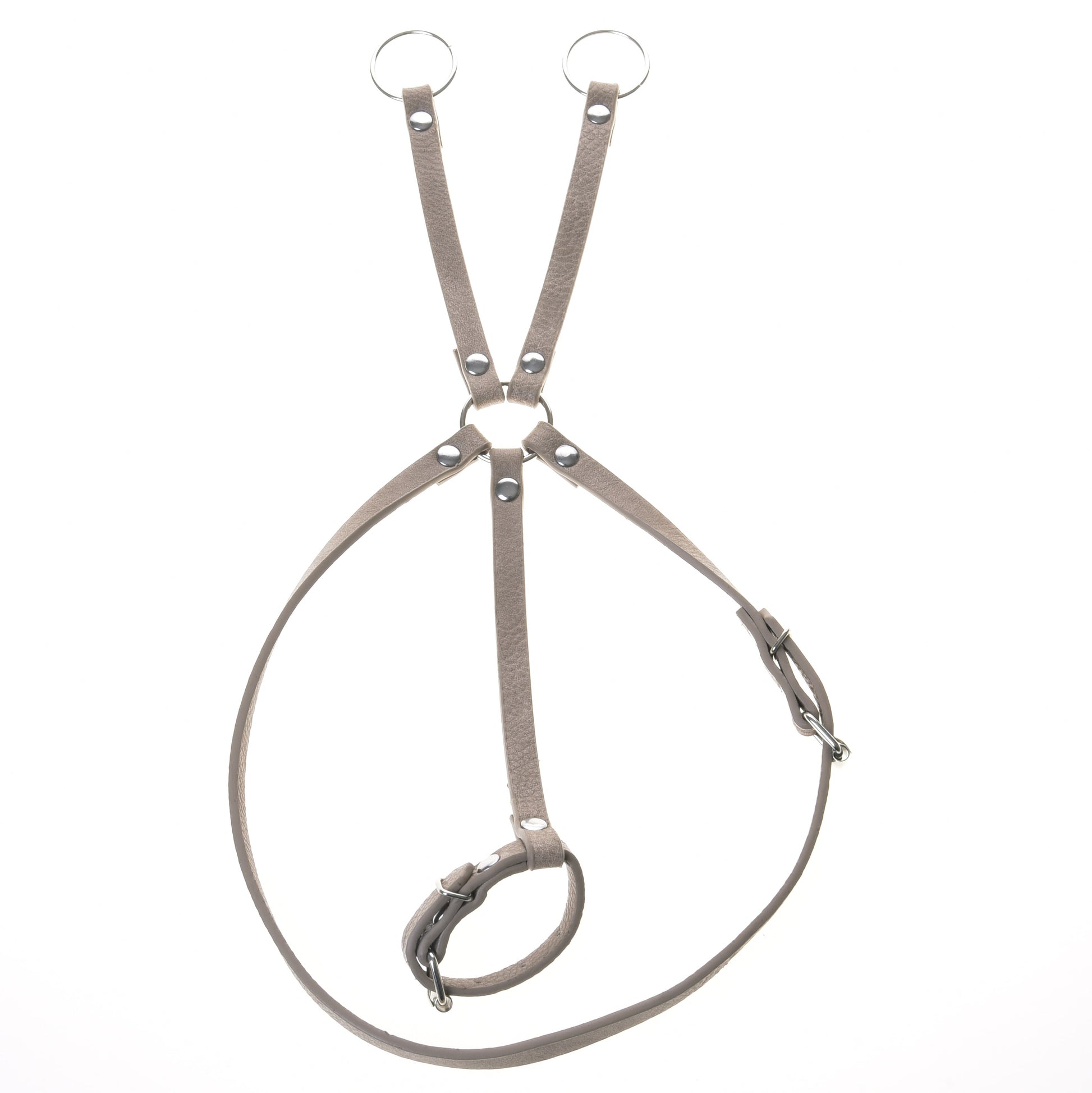 Ensemble similicuir Bordeaux - bride, rênes et martingale