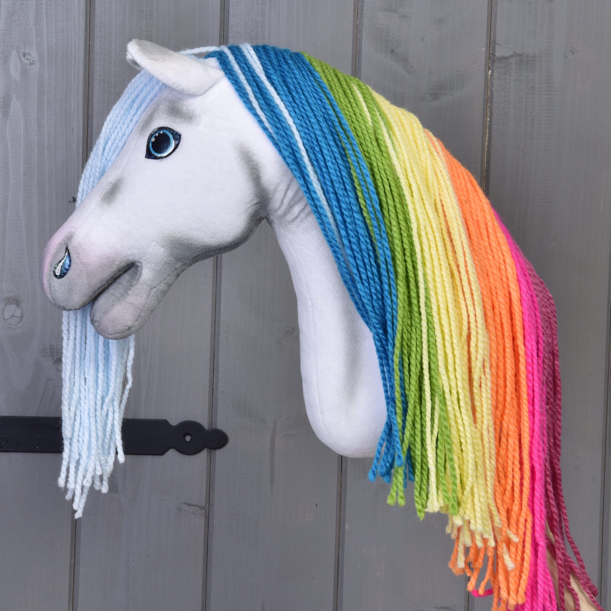 Hobby Horse Arc-en-ciel avec licol bleu