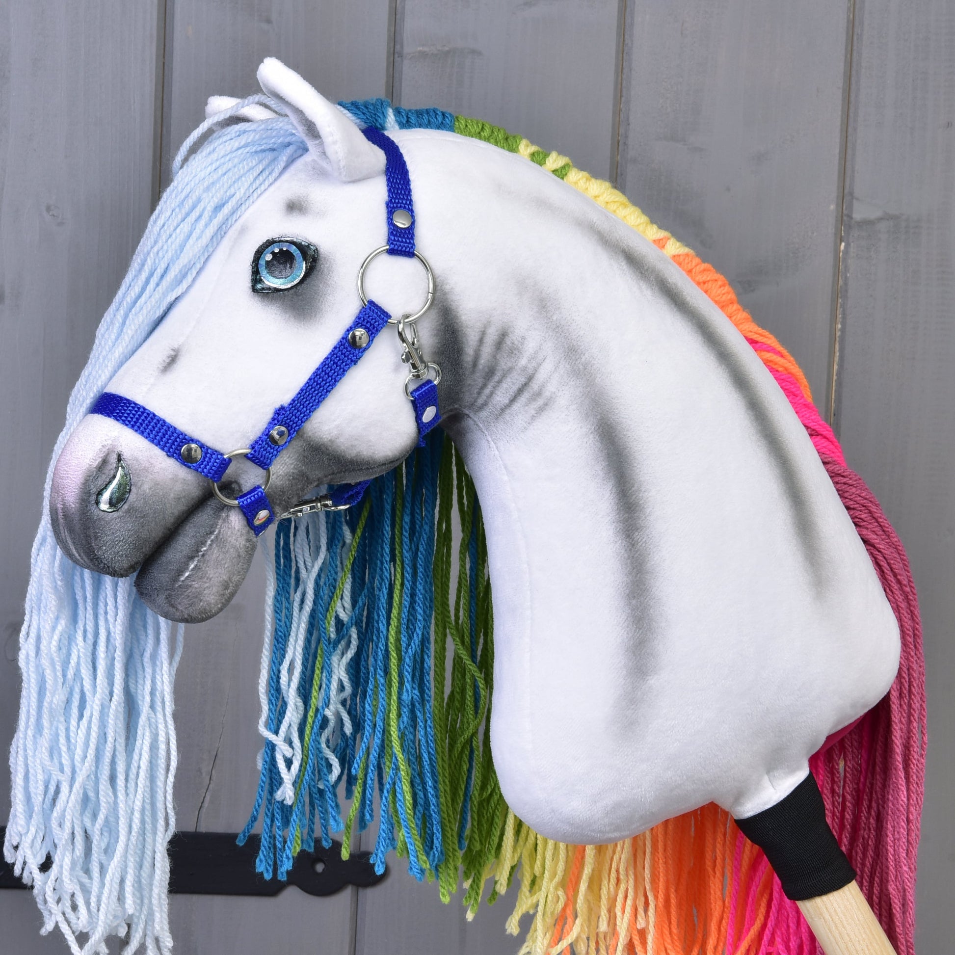 Hobby Horse Arc-en-ciel avec licol bleu